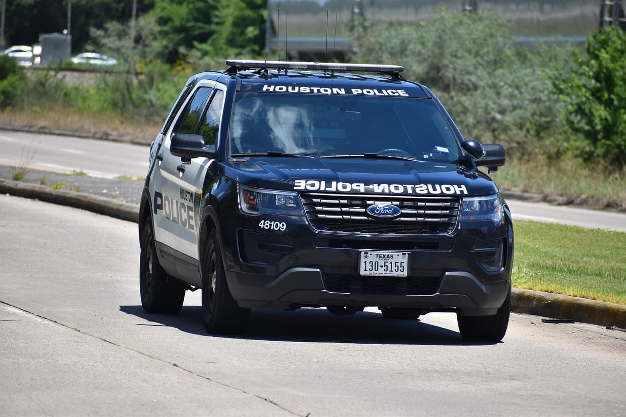 Government SUV Fleet view 5