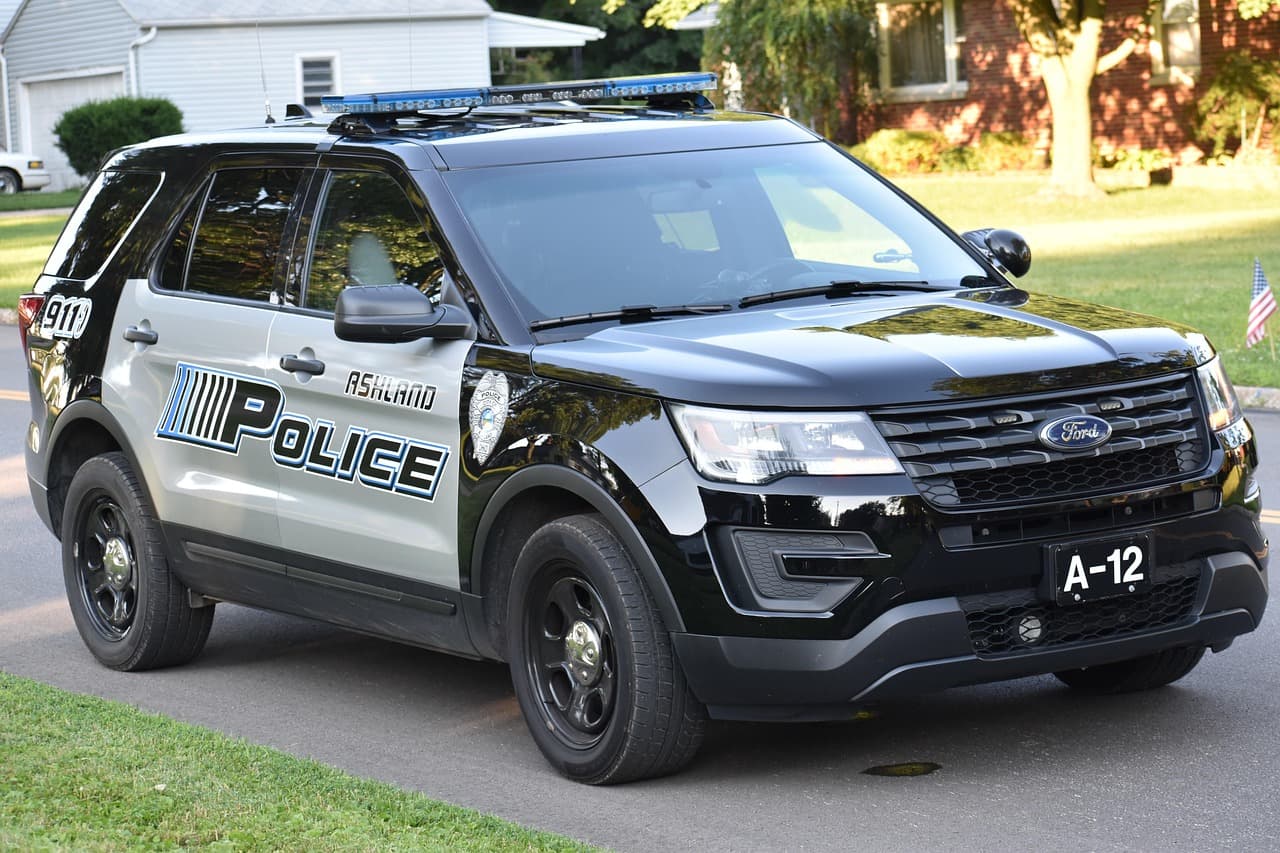 Patrol & Emergency Response Vehicles view 5