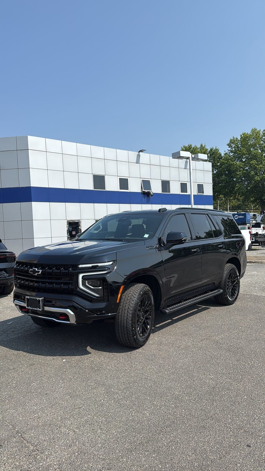 Government SUV Fleet view 2